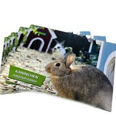 Infobroschüre zur naturnahen Kaninchenhaltung